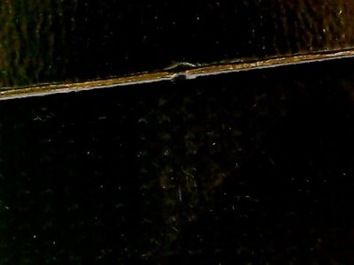 SN34891