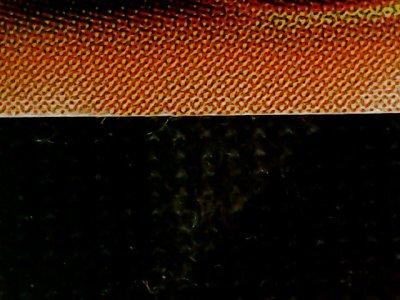 SN34942