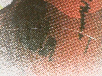 SN34983