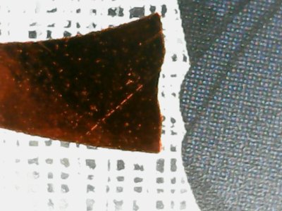 SN34991