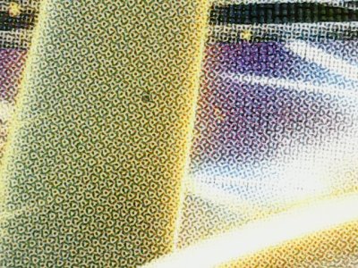 SN34993