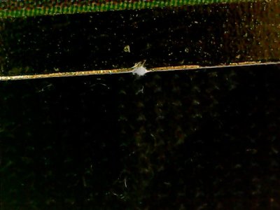 SN35050