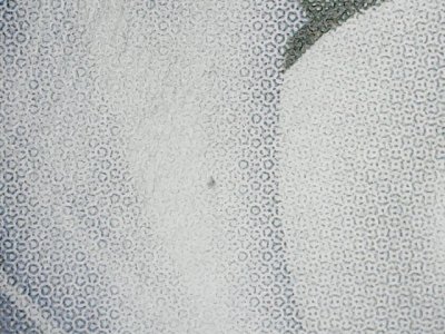 SN35089