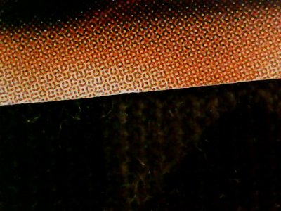 SN35201
