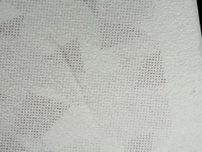 SN35202