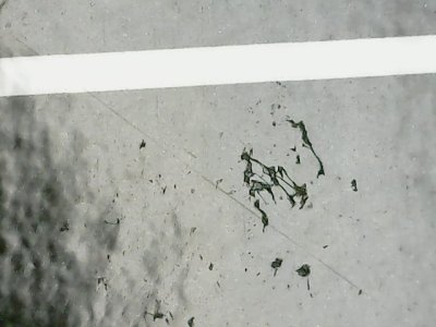 SN35243