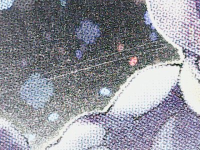 SN35273