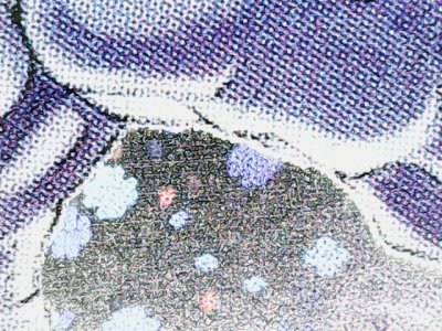 SN35273