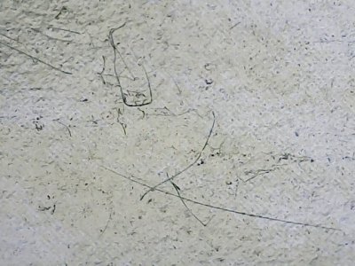 SN35278