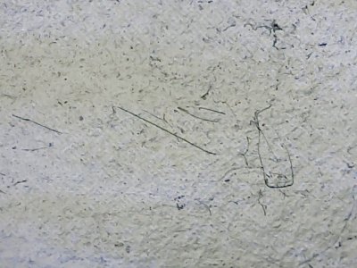 SN35278