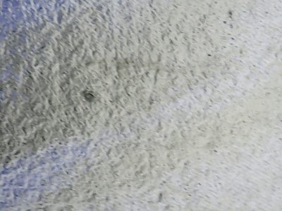 SN35279