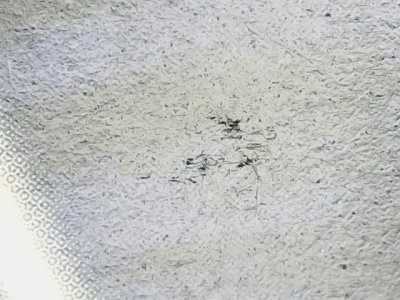 SN35284