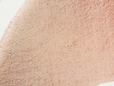 SN35286