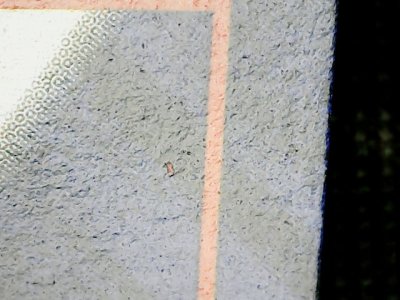 SN35290