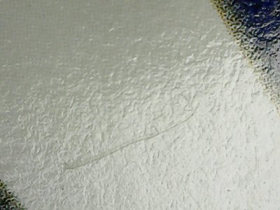 SN35296