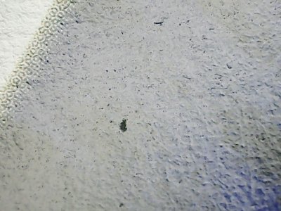 SN35297