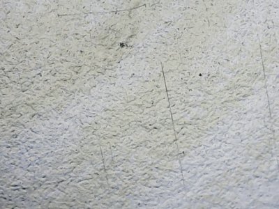 SN35299