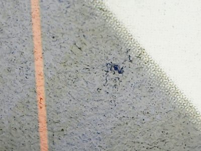 SN35299