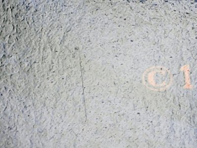 SN35301