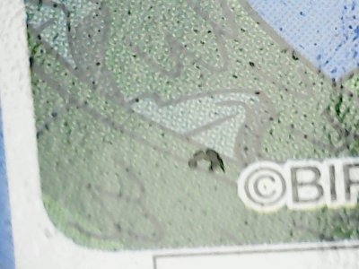 SN35348