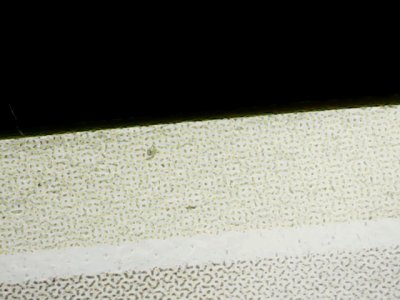 SN35354