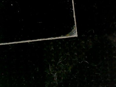 SN35355