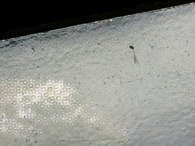 SN35355