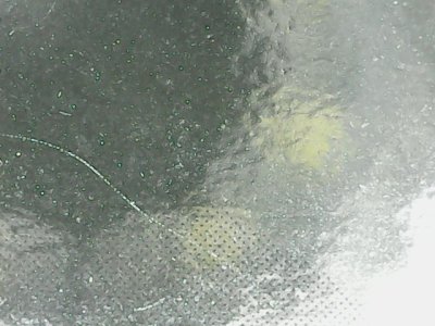 SN35355