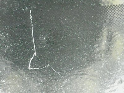 SN35355