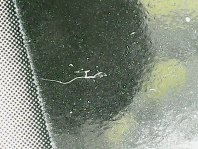 SN35355