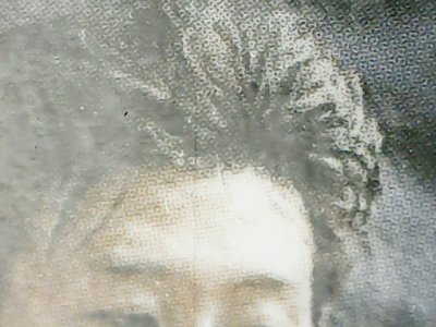 SN35442