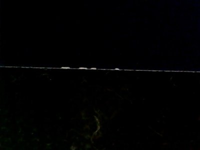 SN35429