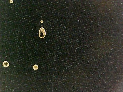 SN35419