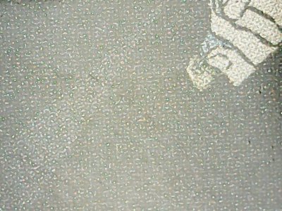 SN35419