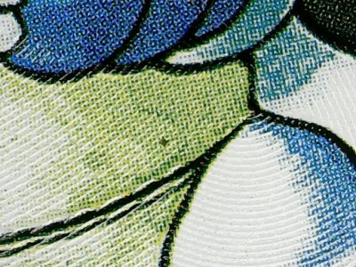 SN35446