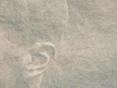 SN35530