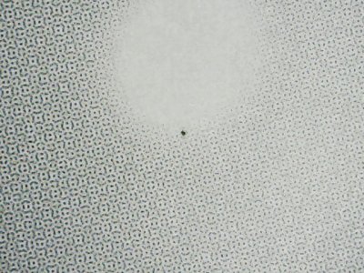 SN35535