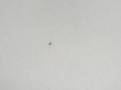 SN35628