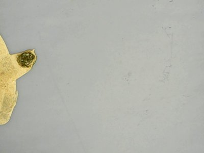 SN35635
