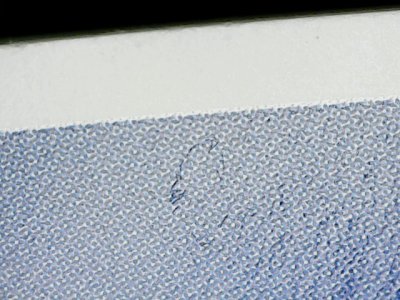 SN35656