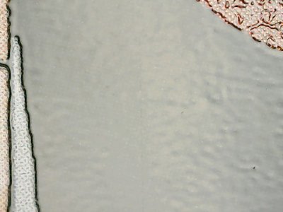 SN35687