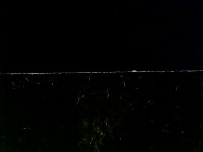 SN35799