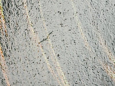 SN35835