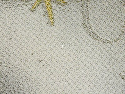SN35858