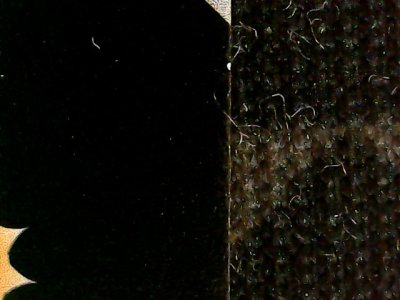 SN35861
