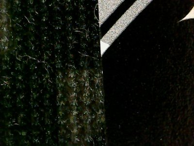 SN35861