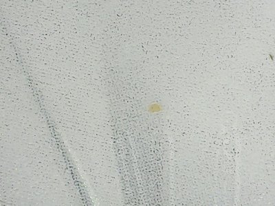 SN35995