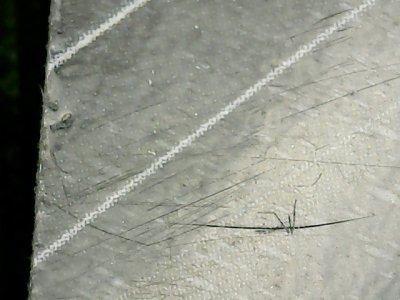SN35995