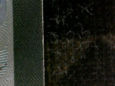 SN35981