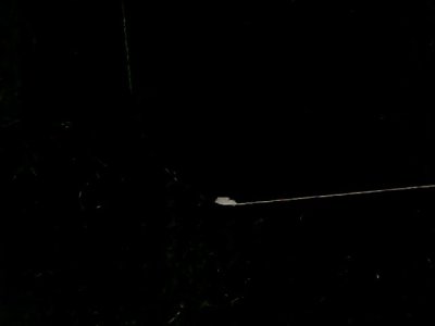 SN36012